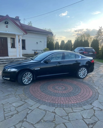 Jaguar XF cena 67900 przebieg: 130000, rok produkcji 2014 z Koronowo małe 211